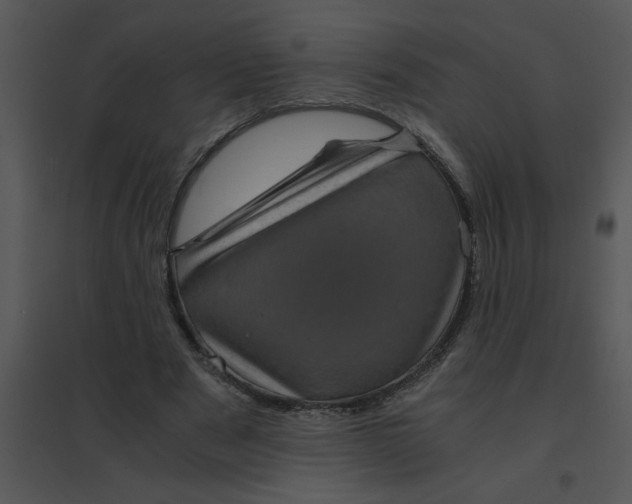 X0000095540489200801041312