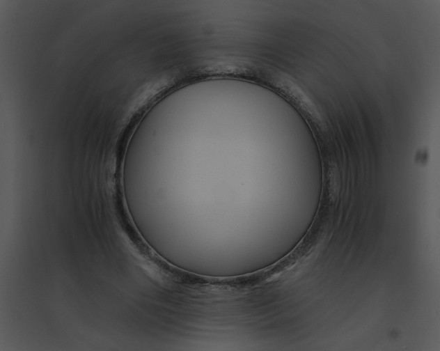 X0000095540490200801041312