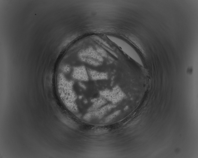 X0000095540491200801041312