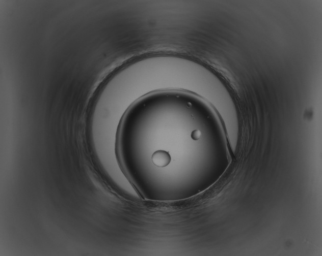 X0000095540492200801041312