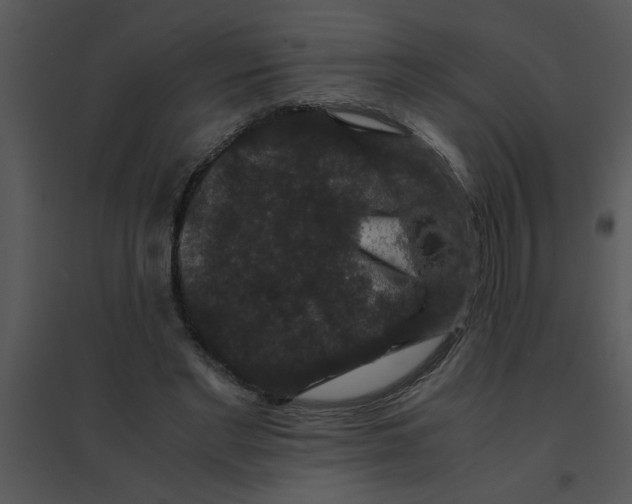 X0000095540493200801041312