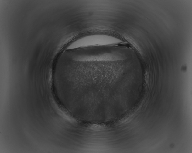 X0000095540494200801041312