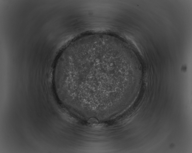 X0000095540495200801041312