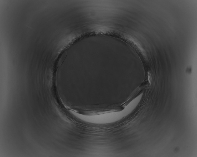 X0000095540496200801041312