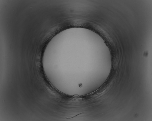 X0000095540497200801041312