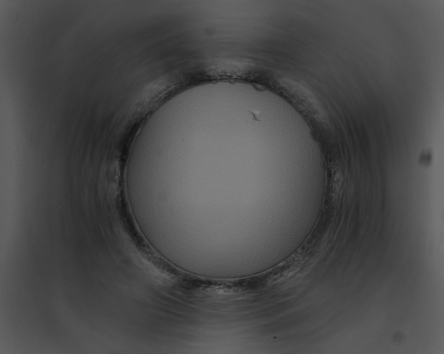 X0000095540498200801041312