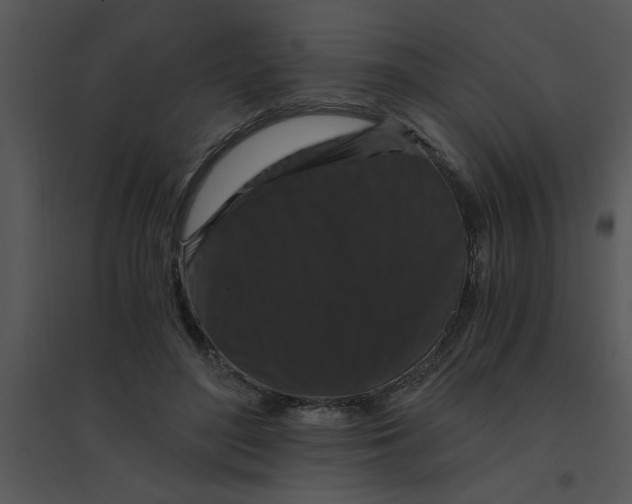 X0000095540500200801041312