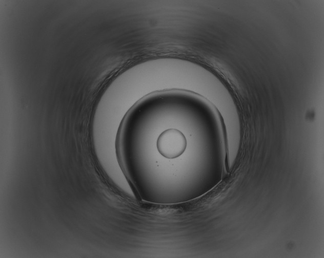 X0000095540501200801041312