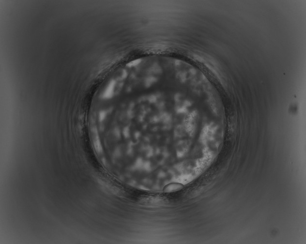 X0000095540503200801041312