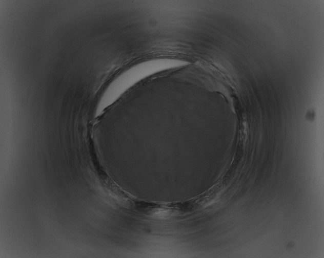 X0000095540504200801041312