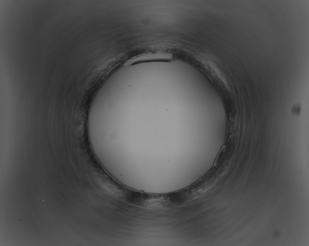 X0000095540505200801041312