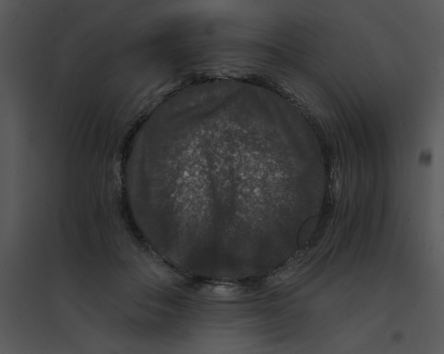 X0000095540506200801041312