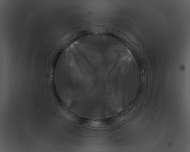 X0000095540507200801041312