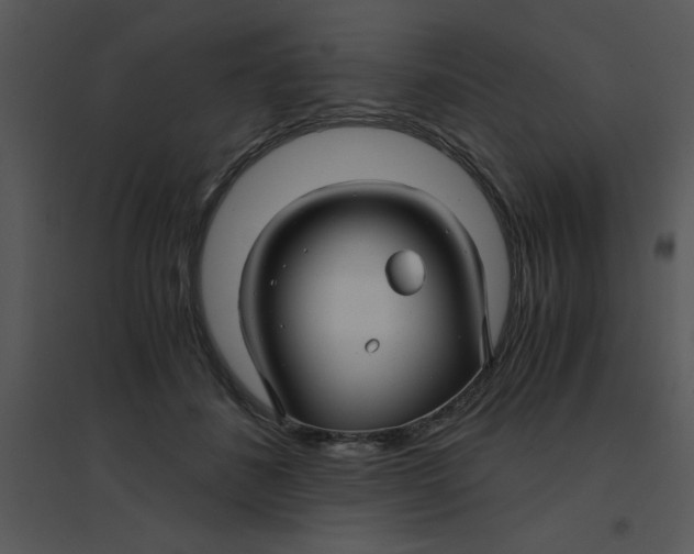 X0000095540508200801041312