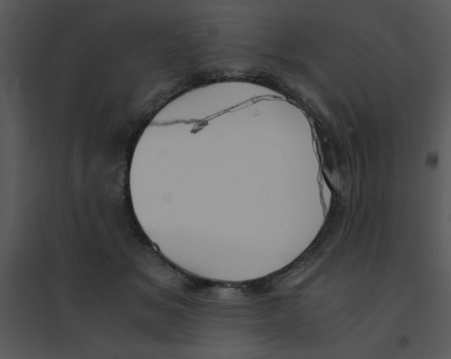 X0000095540509200801041312