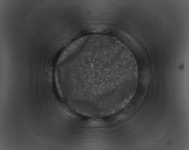 X0000095540510200801041312