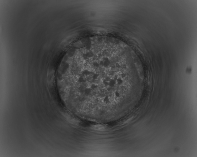 X0000095540511200801041312