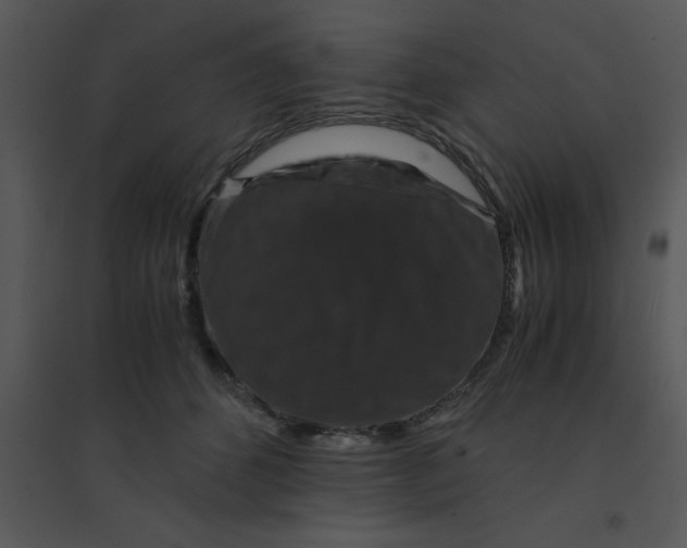 X0000095540512200801041312