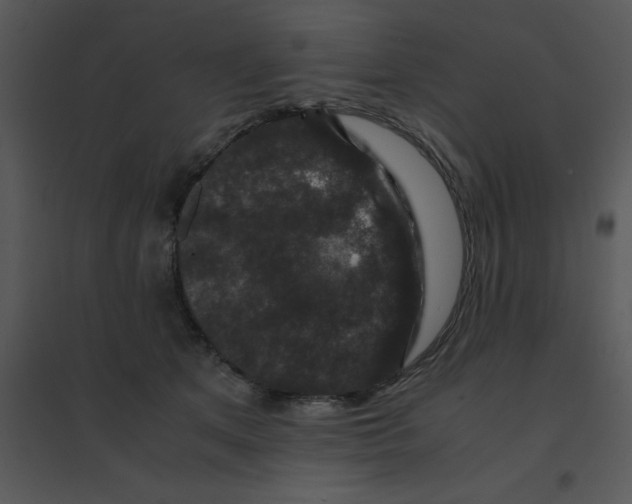 X0000095540513200801041312