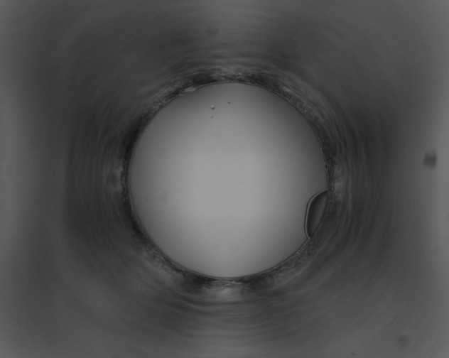 X0000095540514200801041312