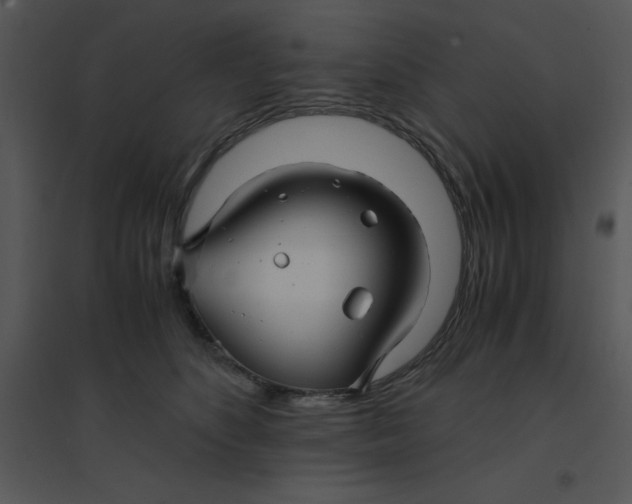 X0000095540516200801041312