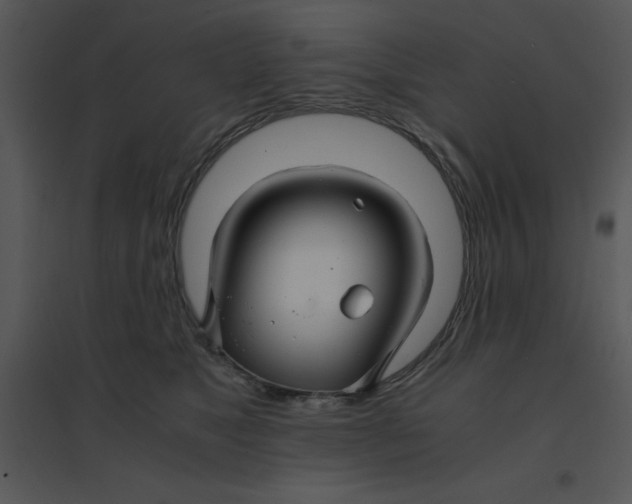 X0000095540517200801041312