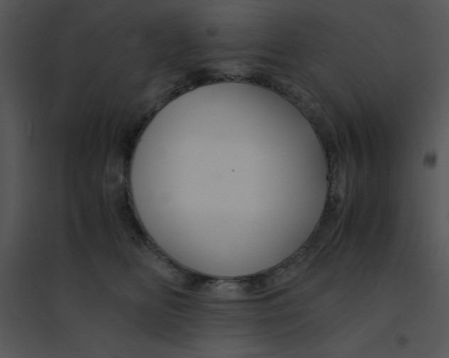 X0000095540518200801041312