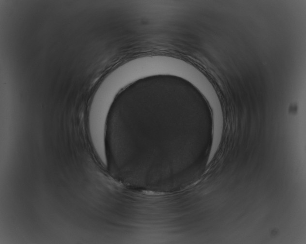 X0000095540520200801041312