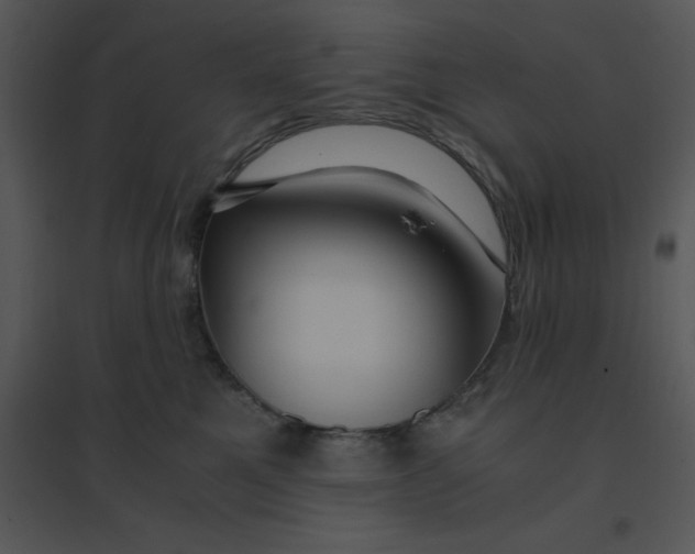 X0000095540521200801041312