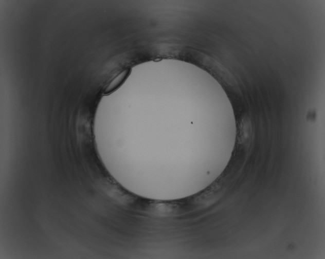 X0000095540522200801041312