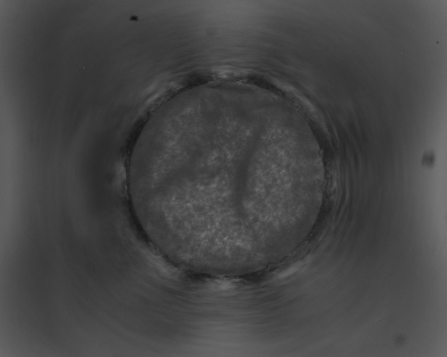 X0000095540523200801041312