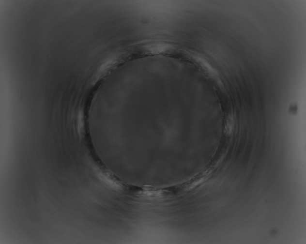 X0000095540524200801041312