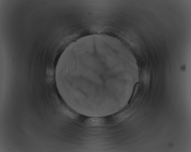 X0000095540526200801041312