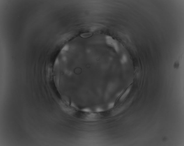 X0000095540527200801041312