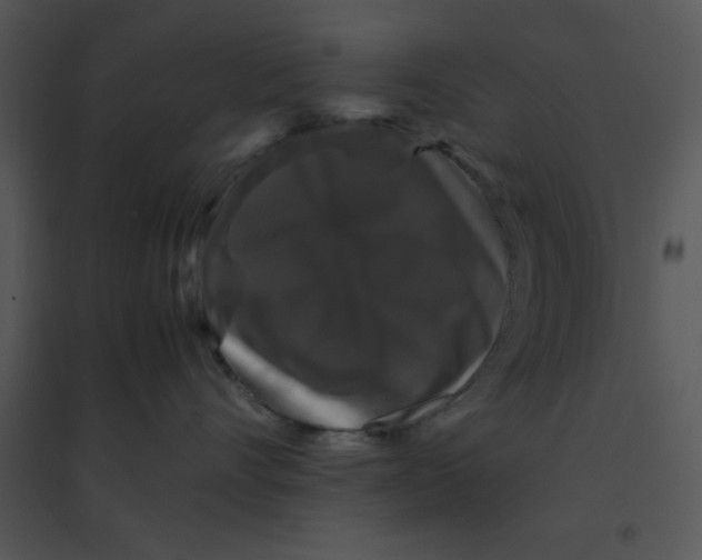 X0000095540528200801041312