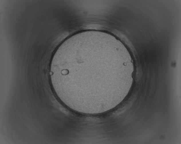 X0000095540529200801041311