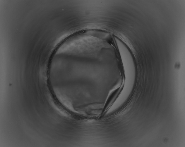 X0000095540530200801041311