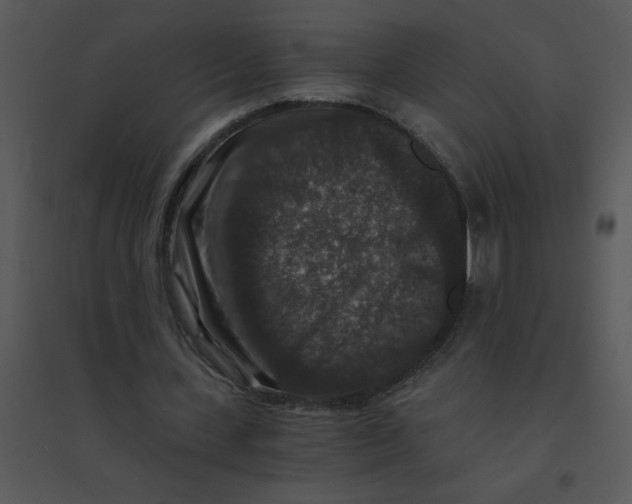 X0000095540531200801041311