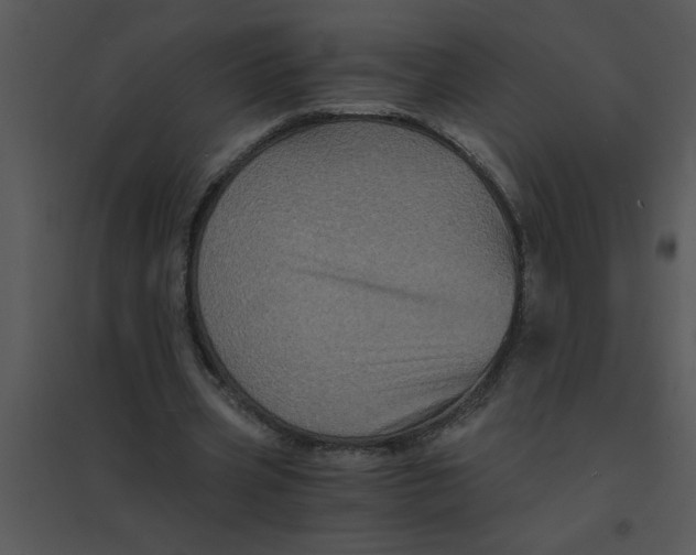 X0000095540533200801041311