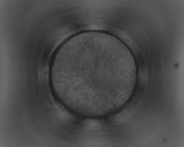 X0000095540534200801041311