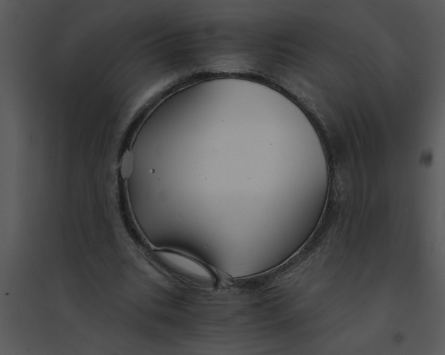 X0000095540535200801041311