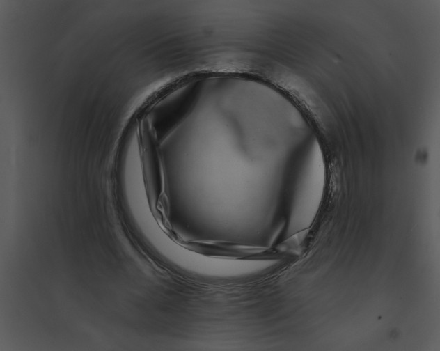 X0000095540536200801041311