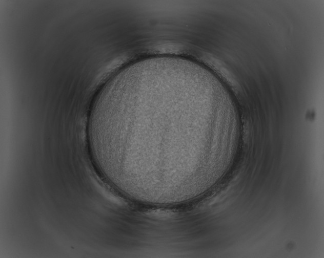 X0000095540537200801041311