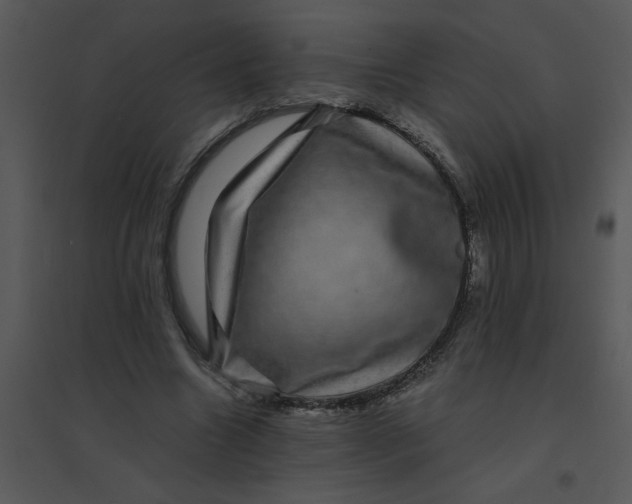 X0000095540538200801041311