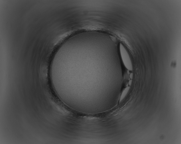 X0000095540539200801041311