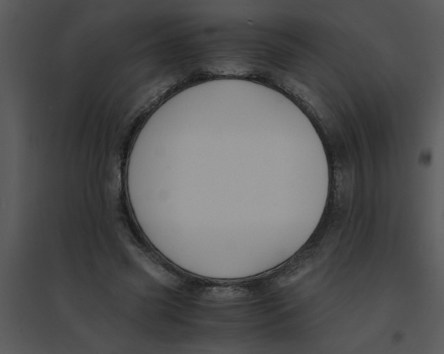 X0000095540541200801041311