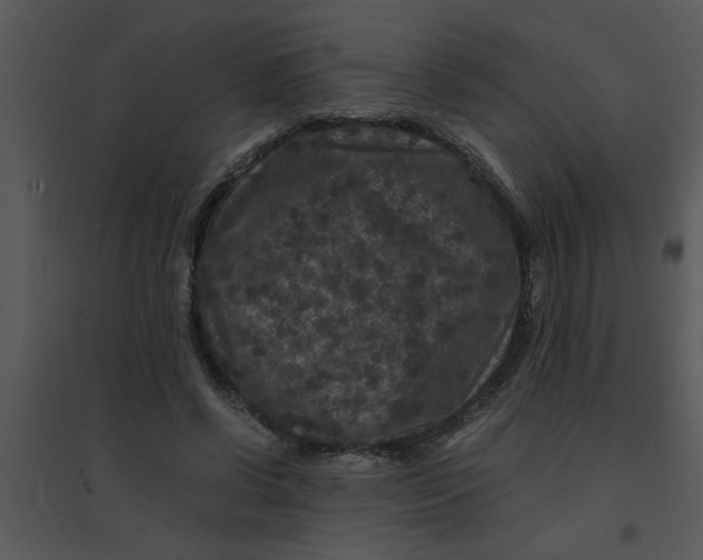 X0000095540542200801041311