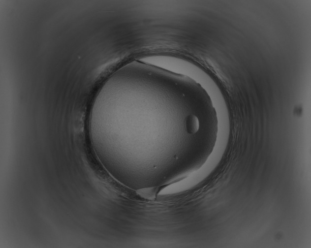 X0000095540543200801041311