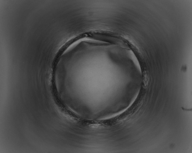 X0000095540544200801041311