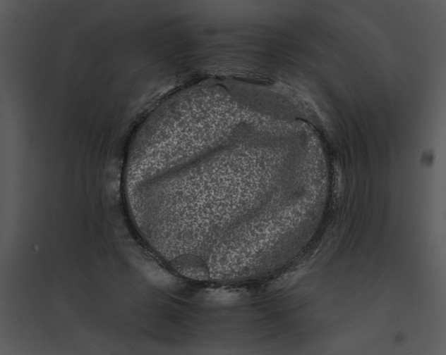 X0000095540545200801041311